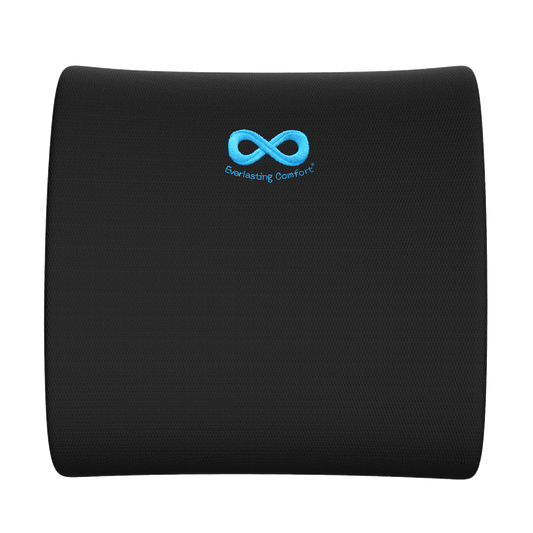 Everlasting Comfort Everlasting Comfort Lumbar Support Cushion