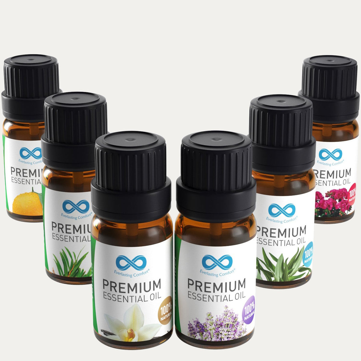 Everlasting Comfort CalmMist: Aromatherapy Oil (6 pack)