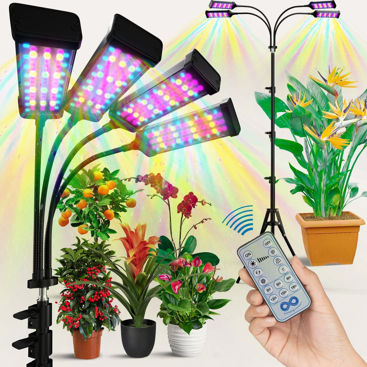 Everlasting Comfort Grow Light