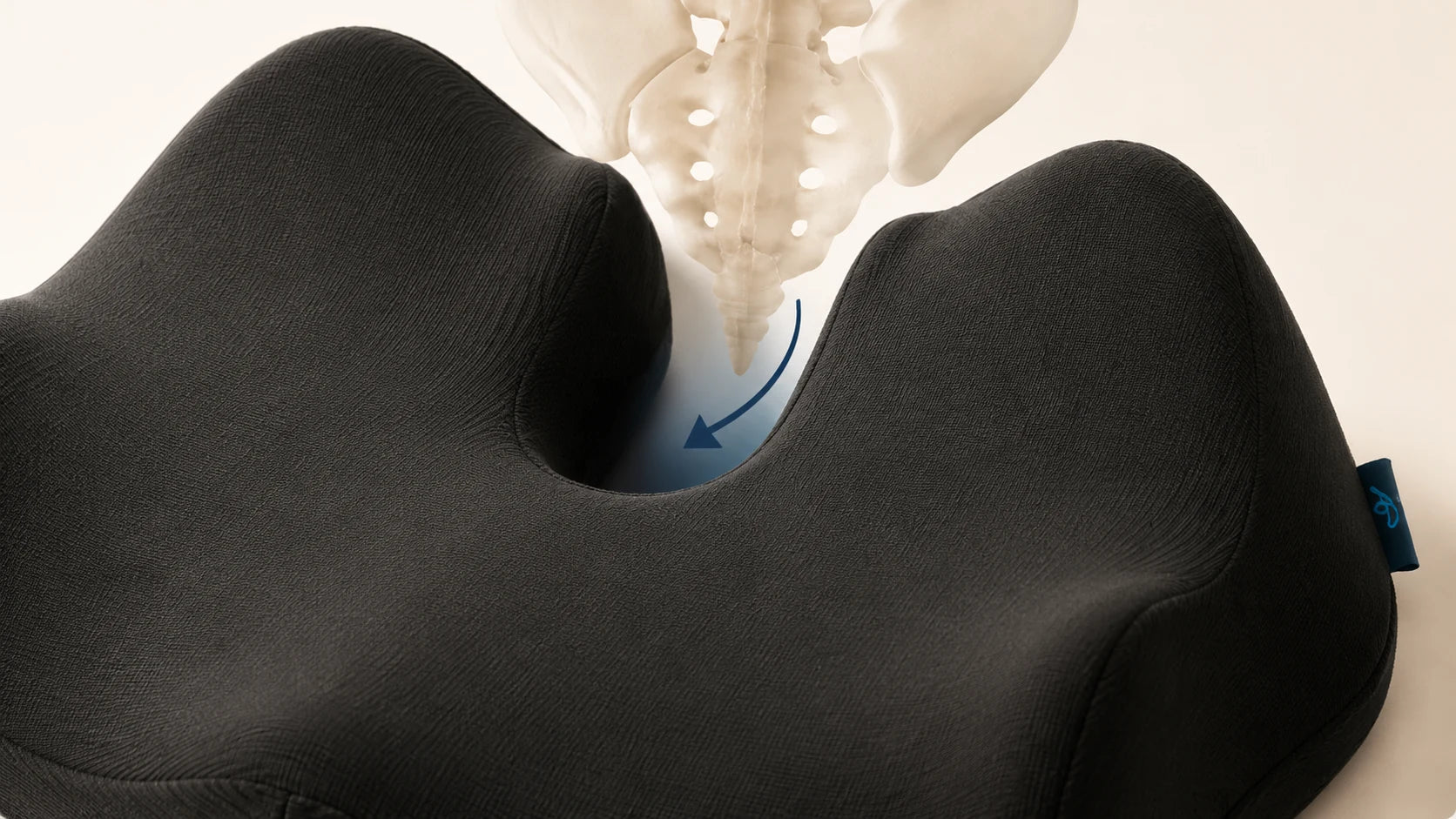 Tailbone clearance created by the contoured opening
