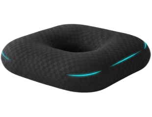 The donut cushion