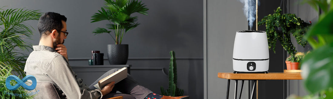 Humidifier for Plants: How It Can Help