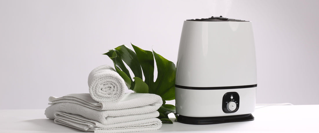 Buying a Humidifier for Eczema: Everything You Need to Know-Everlasting Comfort
