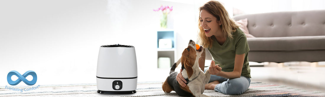 Are Humidifiers Good for Dogs?
