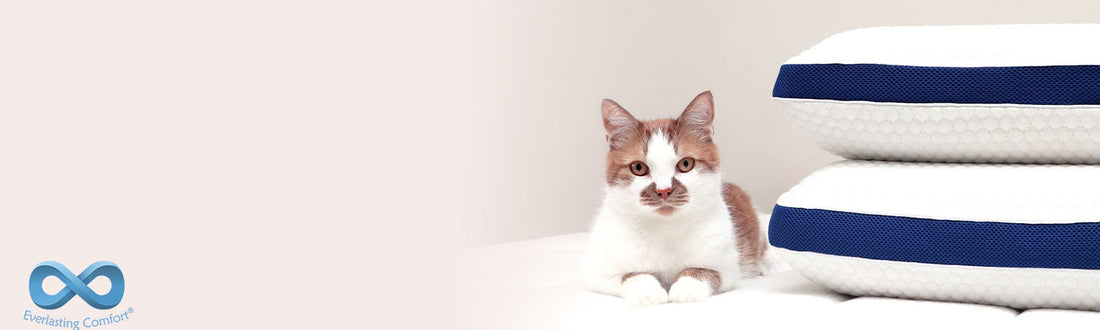 Why Do You Need A Mattress Protector?