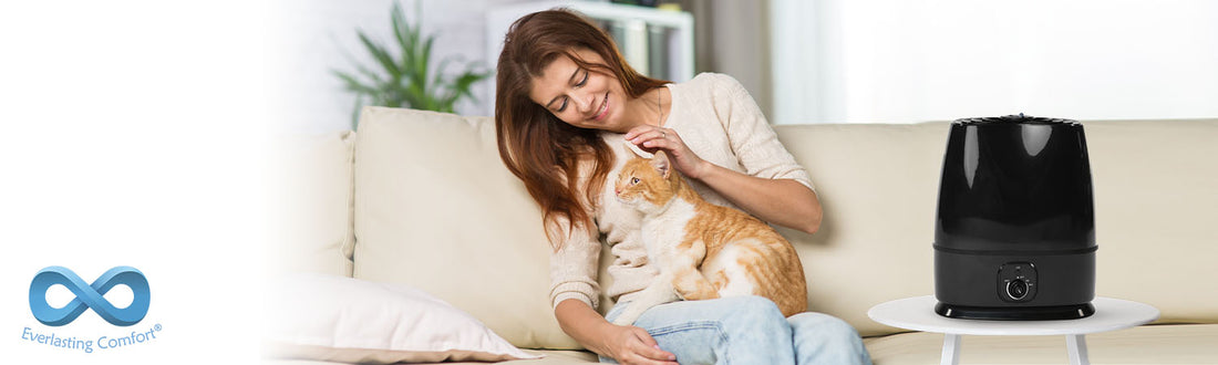 Are Humidifiers Safe for Cats?