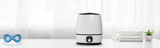 How Do You Kill Bacteria In A Humidifier?