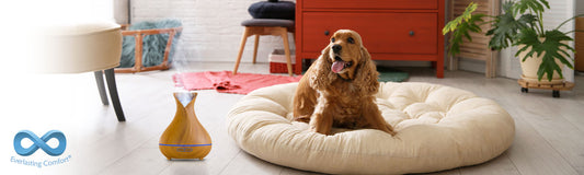 How to Use Essential Oils to Get Rid of Fleas and Ticks on Your Dogs