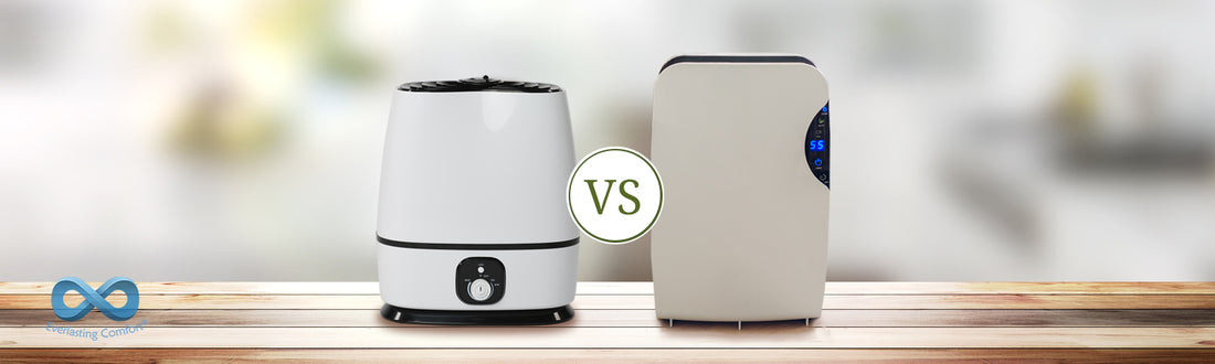 Humidifier vs. Dehumidifier: Which One Do I Need? 