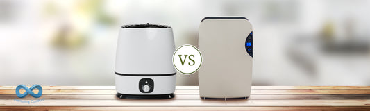 Humidifier vs. Dehumidifier: Which One Do I Need? 
