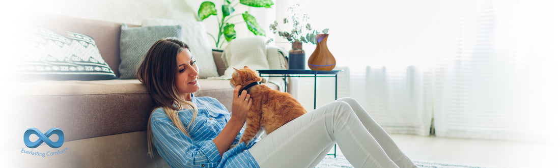 Oil Diffusers and Cats: Is It Safe to Have Both?