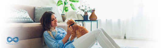 Oil Diffusers and Cats: Is It Safe to Have Both?