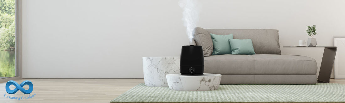 Should I Buy A New Humidifier? What Does It Do?