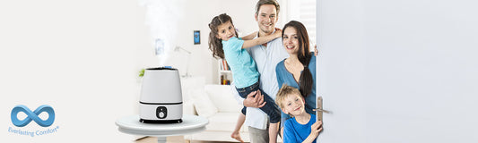 Small Room Humidifiers  What to Look for When Buying for a Small Space