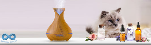 What Essential Oils Are Safe for Cats and Which Ones Are Not?