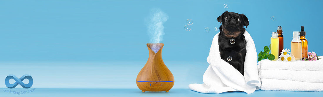 What Essential Oils Are Safe for Dogs and Which Ones Are Not?