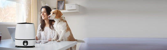 What Is Better For Allergies: Humidifier Or Vaporizer?