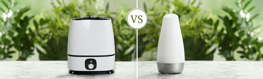 Humidifier vs. Air Purifier: Which One Do You Need?