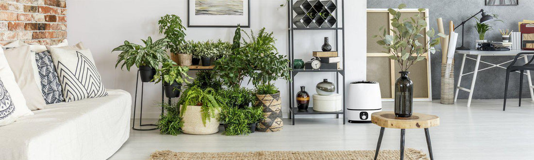 What Are the Humidifier Benefits for You?