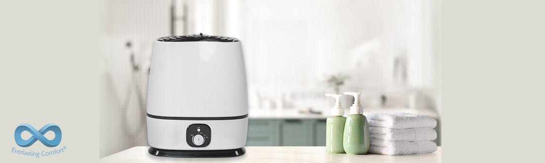 How Do You Clean a Humidifier?
