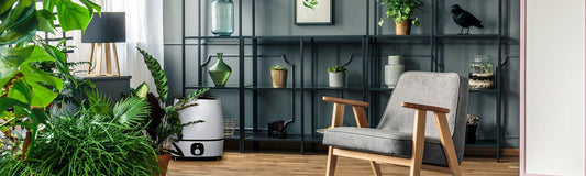 How Do Humidifiers Work?