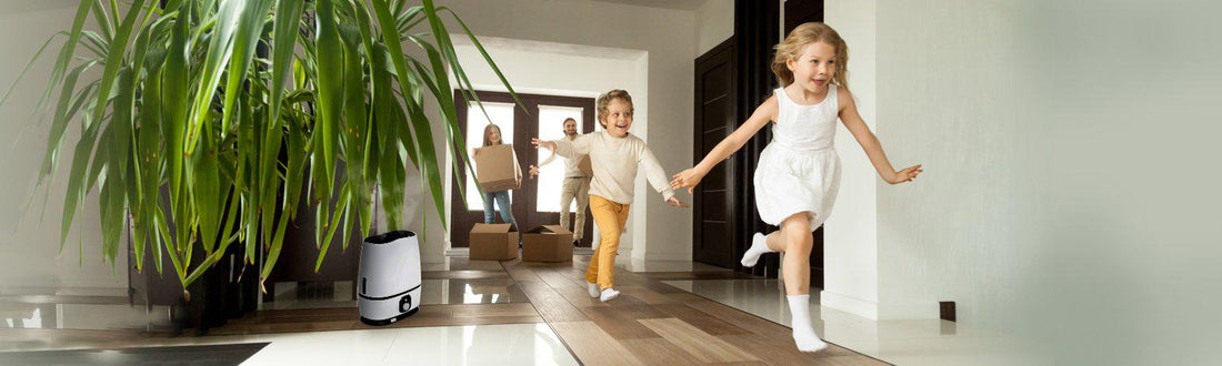 Health Comes First: What the Best Portable Humidifier Can Do for Your Family