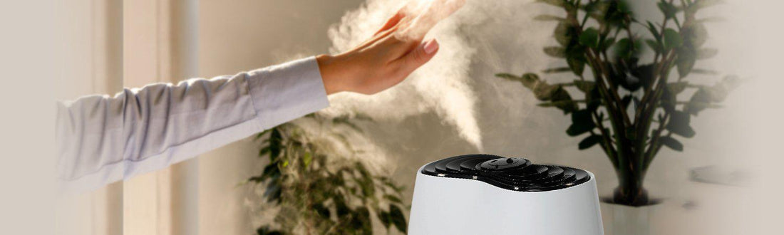 What Do Humidifiers Do and How Do They Work?
